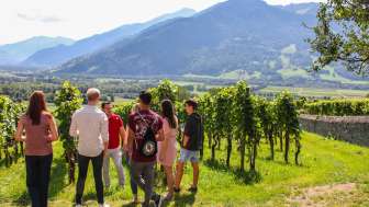 Buchbares Erlebnisse Weintour