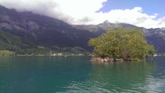 Schnittlauch Insel