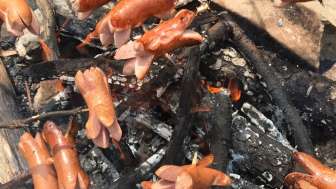 Ausflug, Brötla, Cervelat, Feuerstelle, Grillieren, Grillstelle, Picknick, Wurst